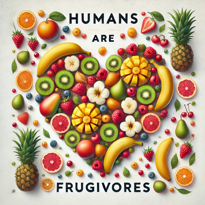 Humans Are Frugivores: The Science of Our Fruit-Based Design