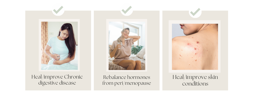 The Fruit Based VIP Membership & Course 2026