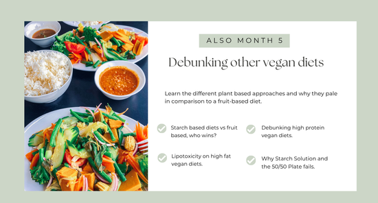 The Frugivore Diet Course