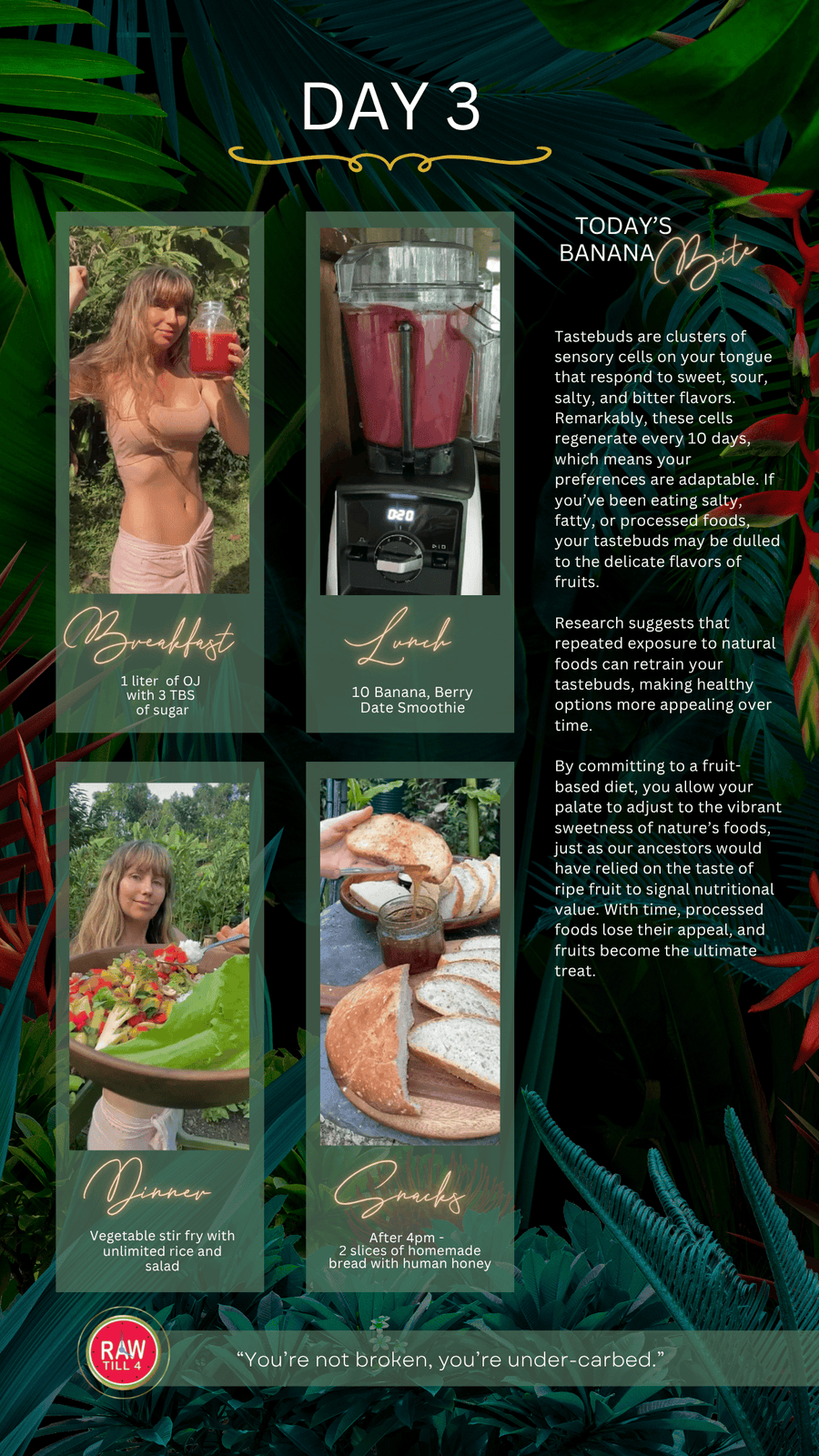 What I Eat in a Day on Raw Till 4 ebook